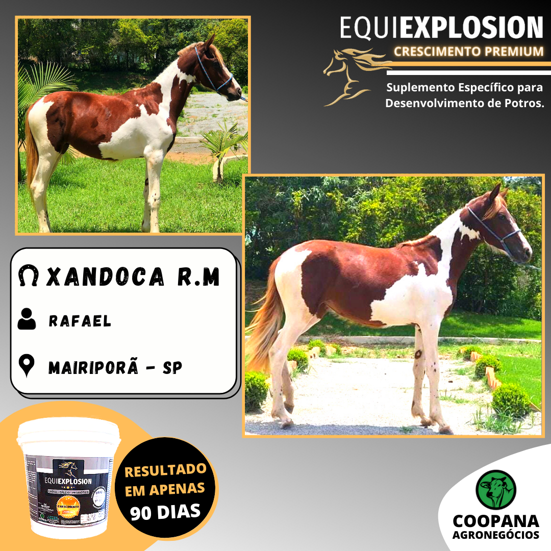 Equiexplosion Crescimento Premium 3kg - Imagem 3