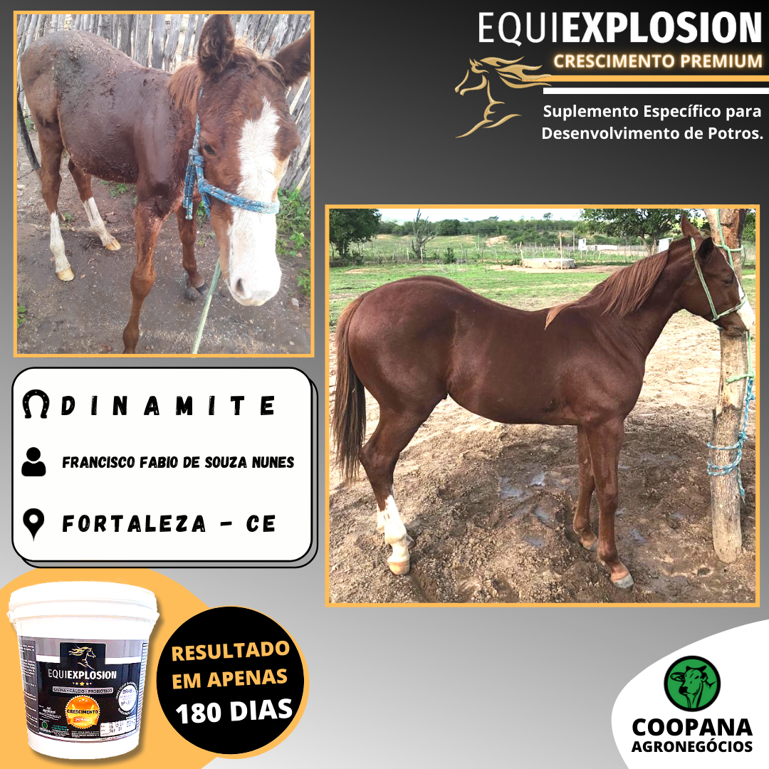 Equiexplosion Crescimento Premium 3kg - Imagem 4