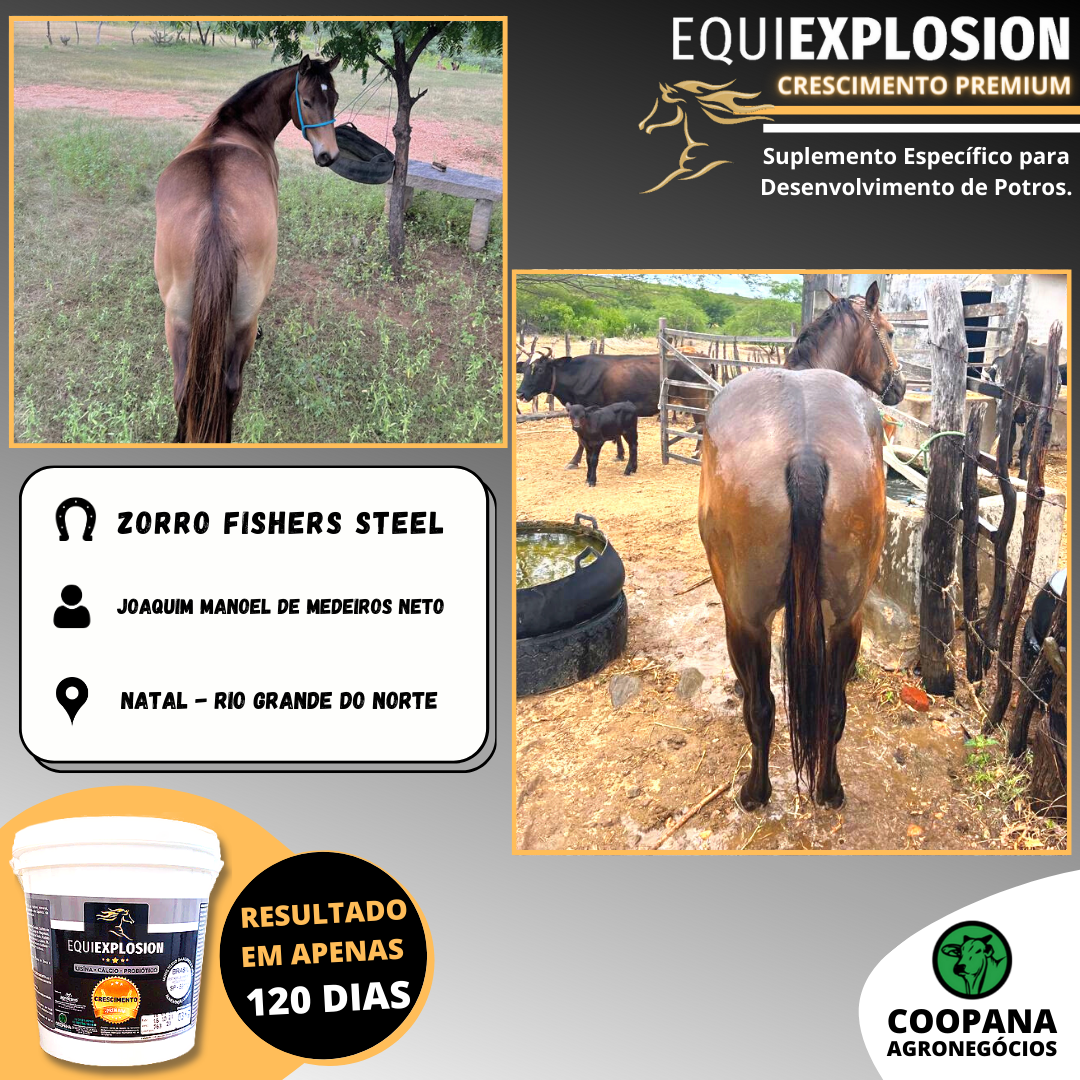 Equiexplosion Crescimento Premium 3kg - Imagem 5